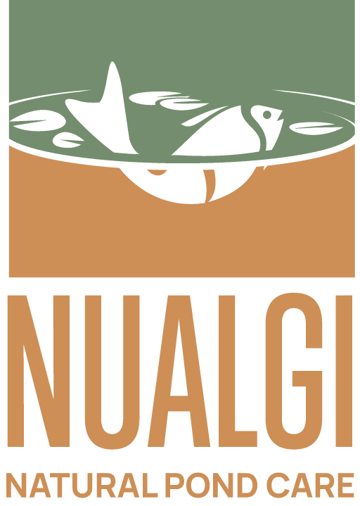 Nualgi logo